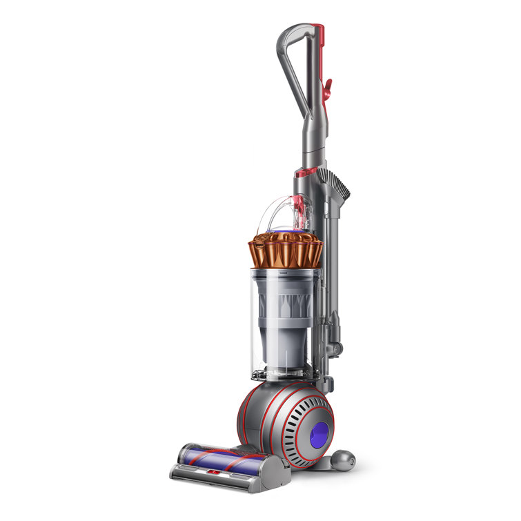 Dyson Ball Animal 3 Extra Upright Vacuum & Reviews | Wayfair